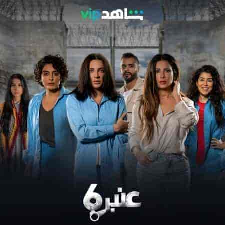 مسلسل عنبر 6 الحلقة 7 السابعة